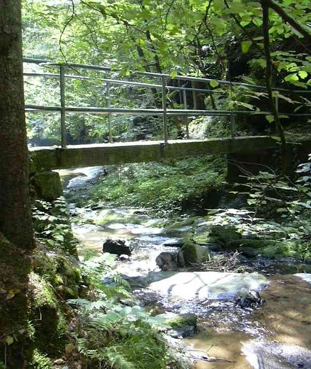 Hinterbrühl 