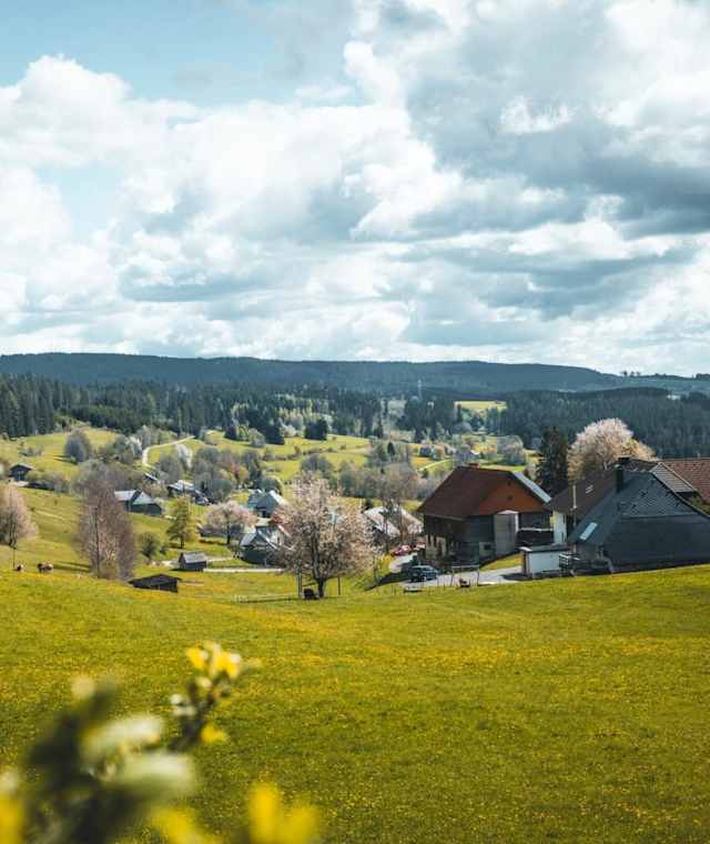 Der Ausblick über Raitenbuch
