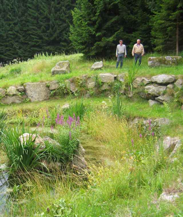 Hochbühelweg bei Peilstein im Mühlviertel