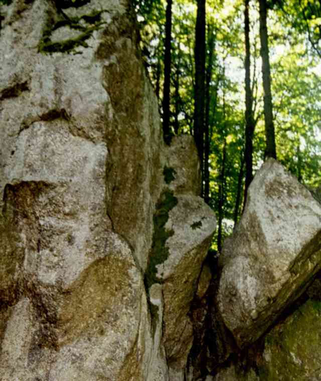 Hochfichtrunde