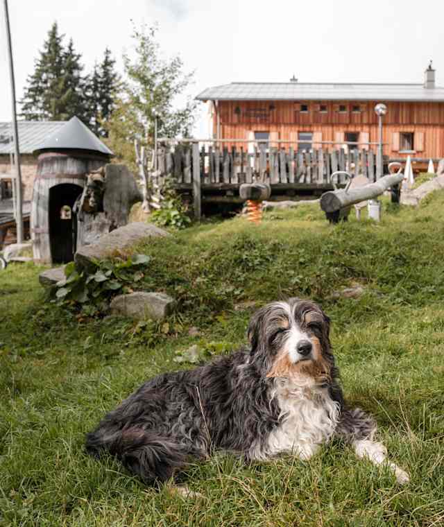 Hund vor dem Hochganghaus in Südtirol