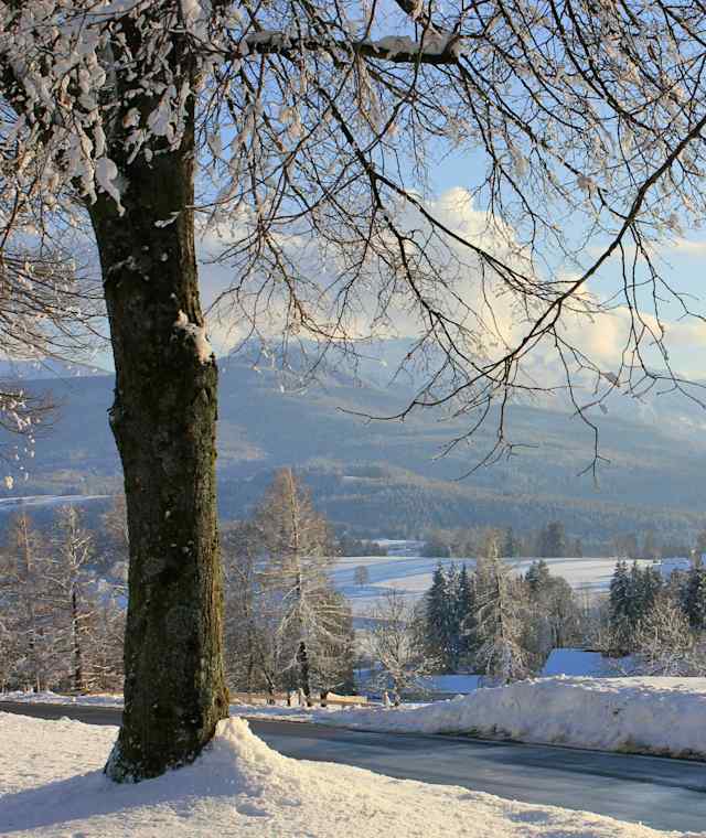Bergblick 