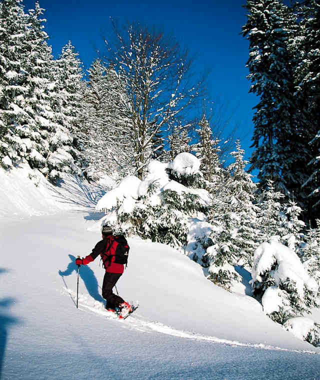 Nach Neuschneefall ein Wintermärchen – der Anstieg zur Buchsteinhütte.