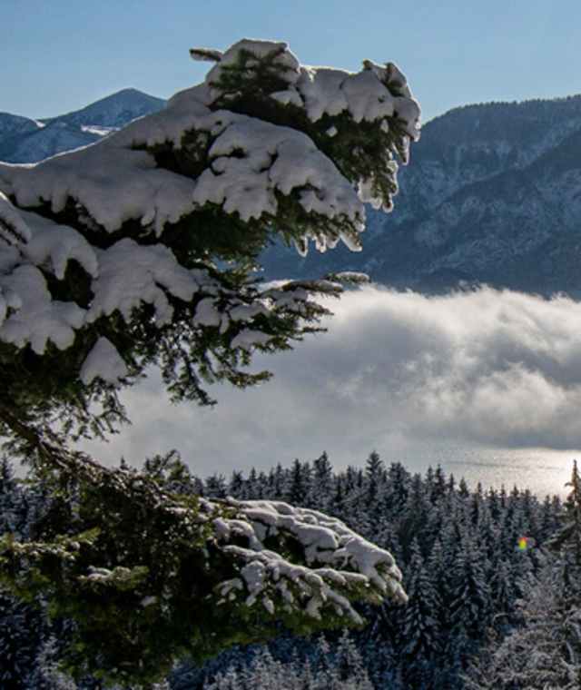 Winterwanderung über den Hollerberg auf den Hochplettspitz in Unterach mit Blick auf den Attersee.