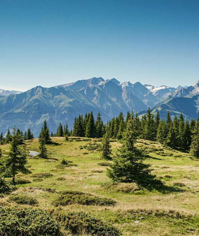 Am Hochsonnberg