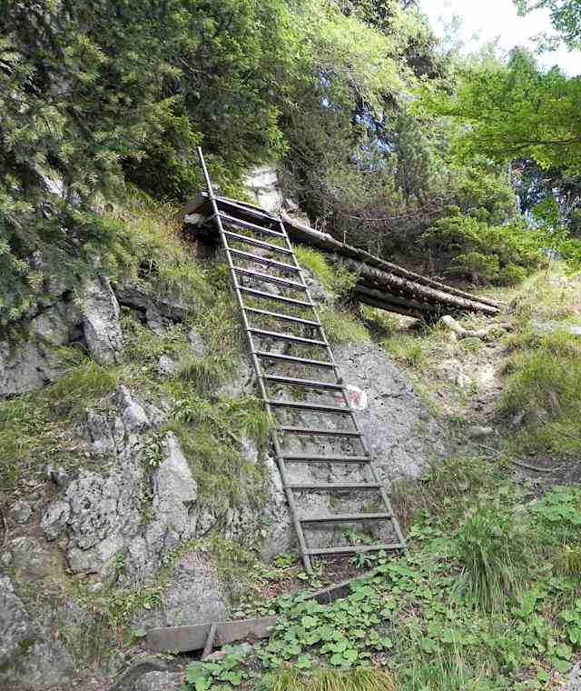 Am Weg zum Hochstaufen
