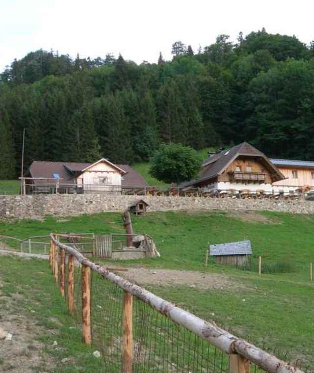 Die Traunsteinalm