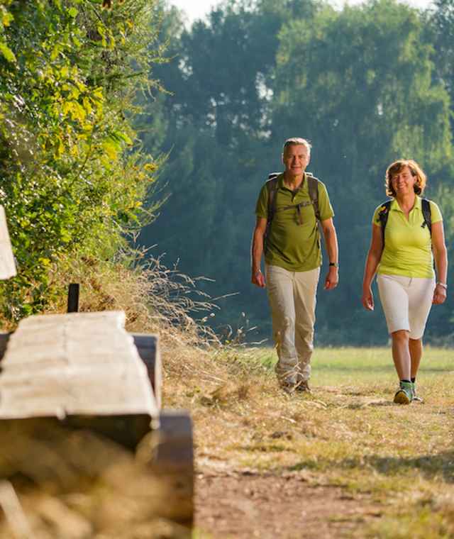 Auf dem Hochwald-Pfad