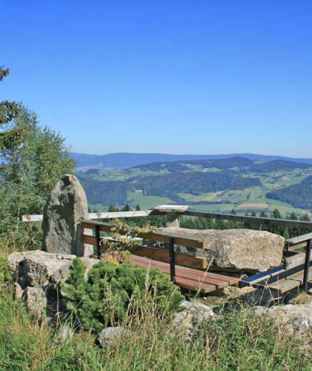 Hochwaldweg