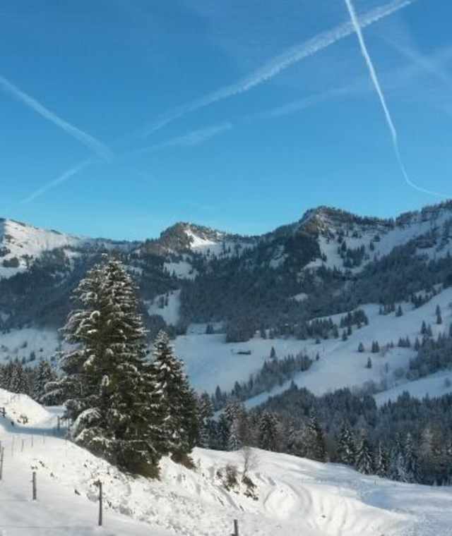 Schneeschuhtour Imberggebiet
