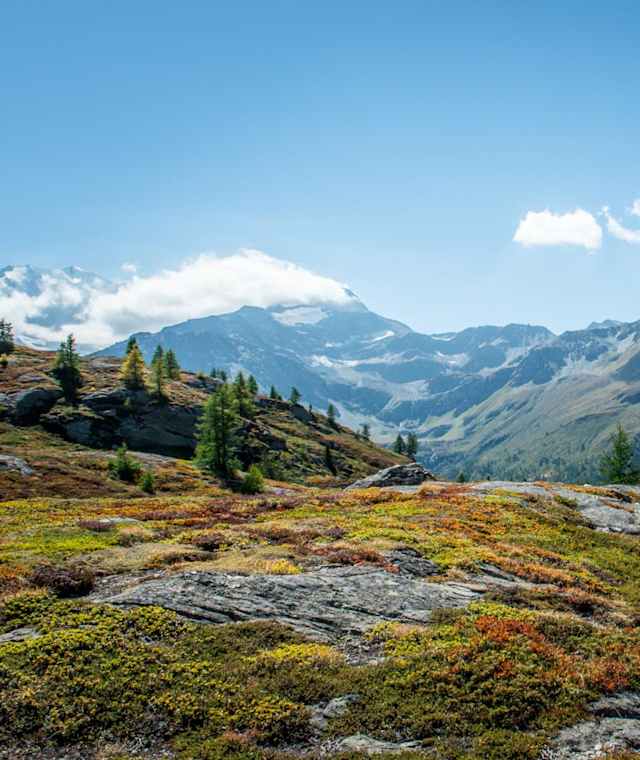 Auf dem Höhenweg Simplon Süd