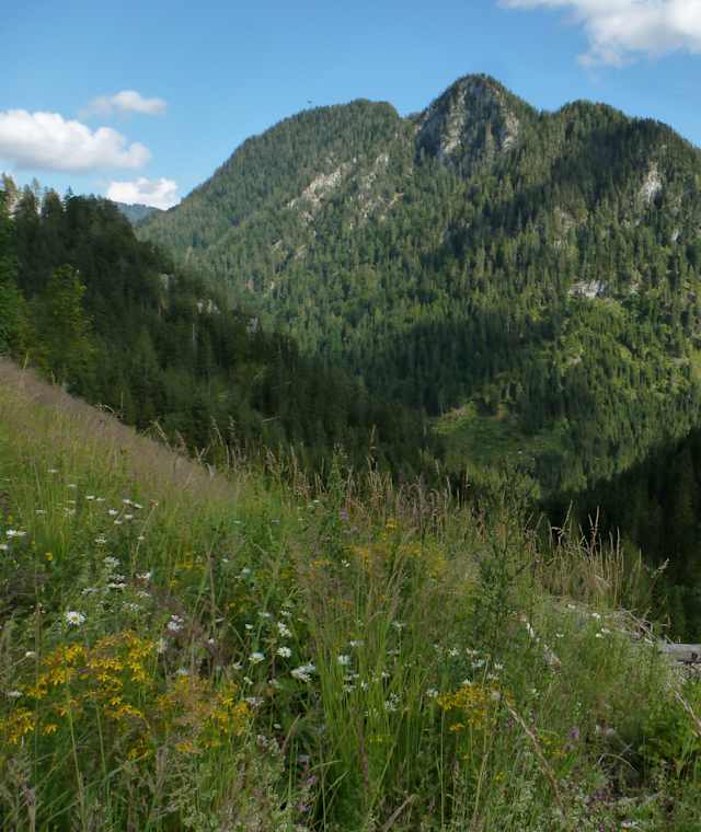Auf dem Höhenweg Wildalpen – Hinterwildalpen