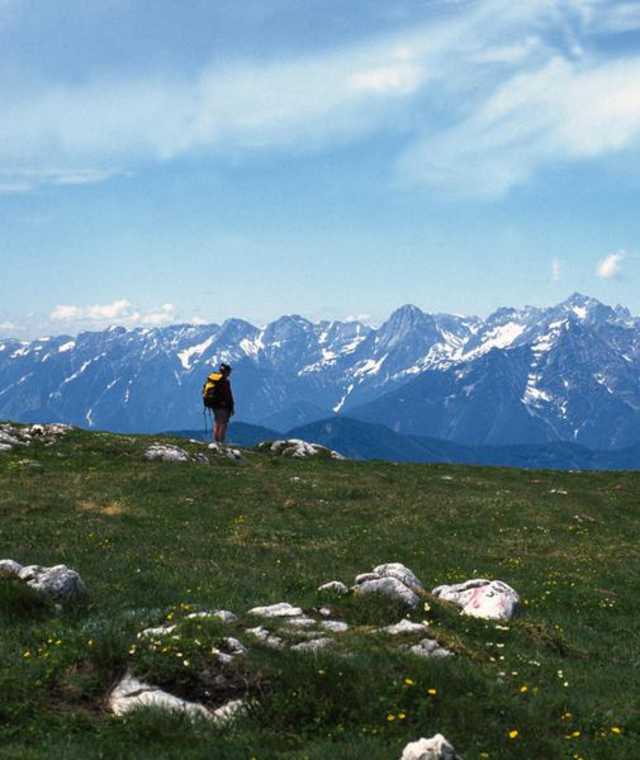 Traumhaftes Alpenpanormama