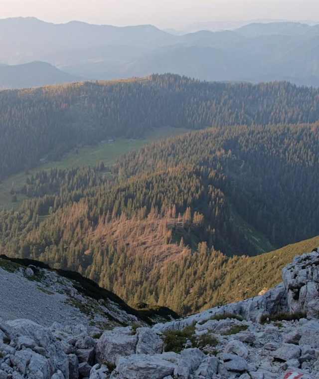 Rückblick ins Nockkar von oben