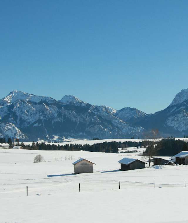 Langlaufen in Hopfen am See