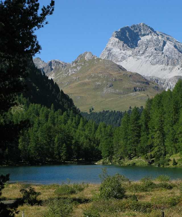 Lai dal Palpuogna