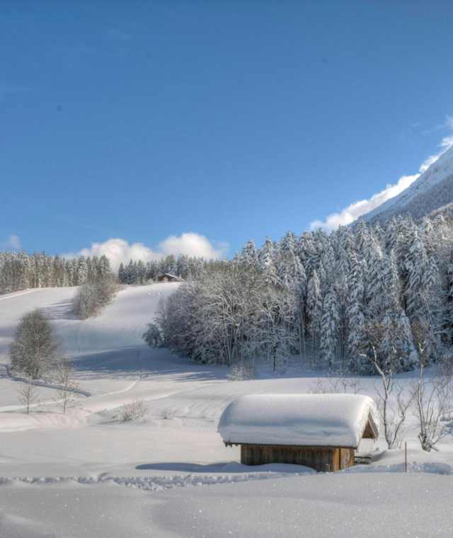 inzell winter panorama langlaufen03