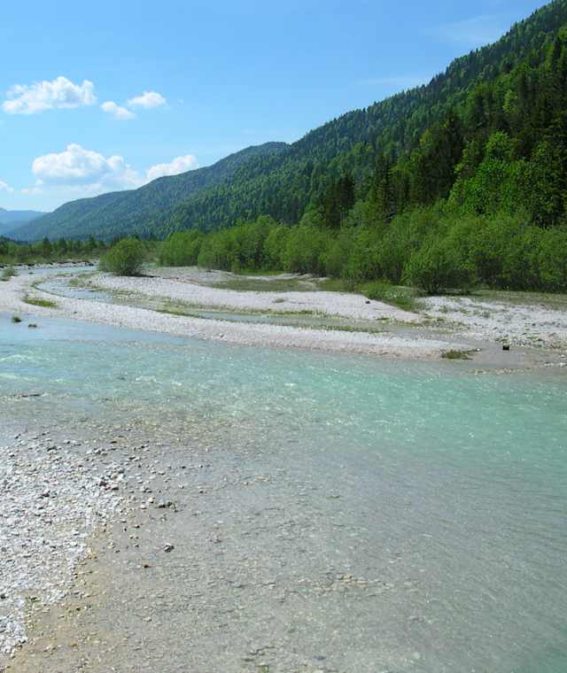 Die Isar - ein echter Wildfluss