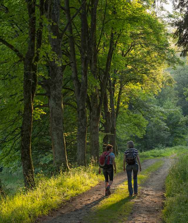 Auf dem Iseltalpfad