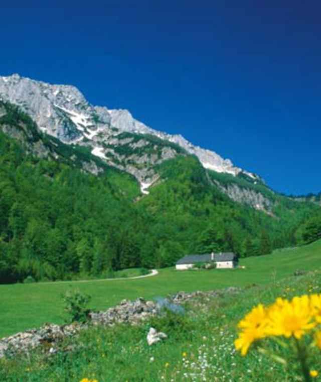 jagahaeusl-zur-blumaueralm