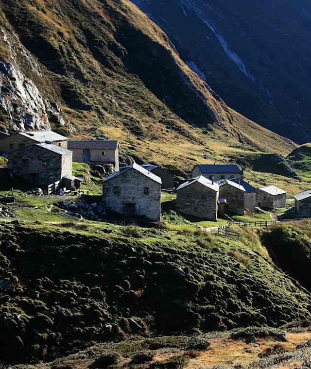 Die Jagdhausalm