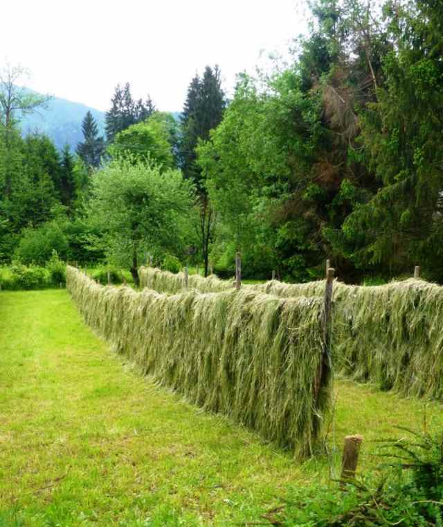 Jakobsweg Osttirol