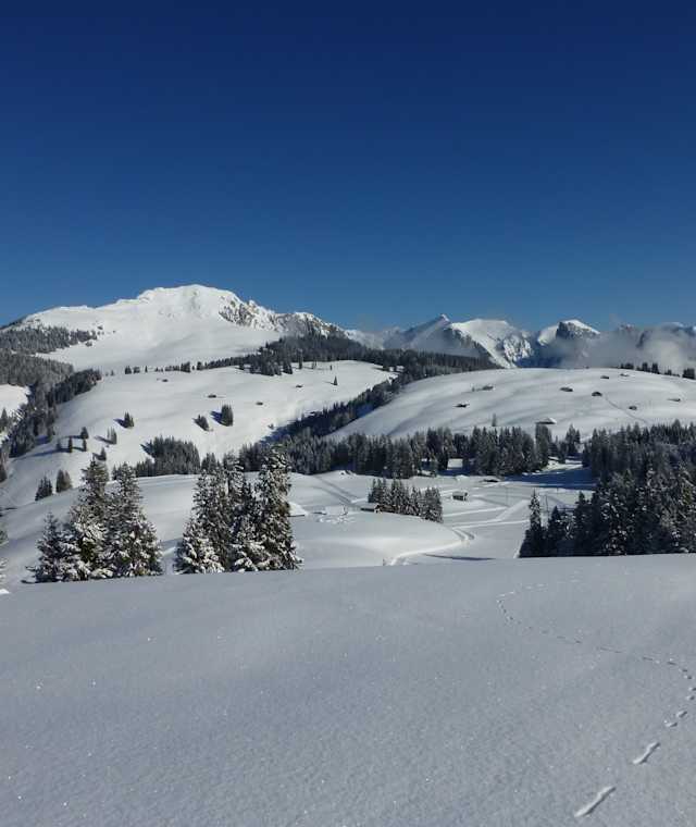 Winterandschaft am Rundweg Jaunpass - Oberenegg