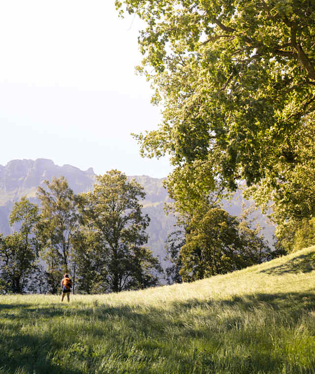 Liechtenstein-Weg Etappe 4
