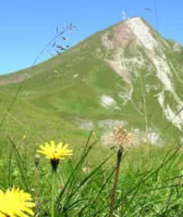 Die Jöchelspitze