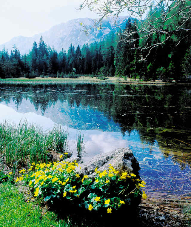 Josersee