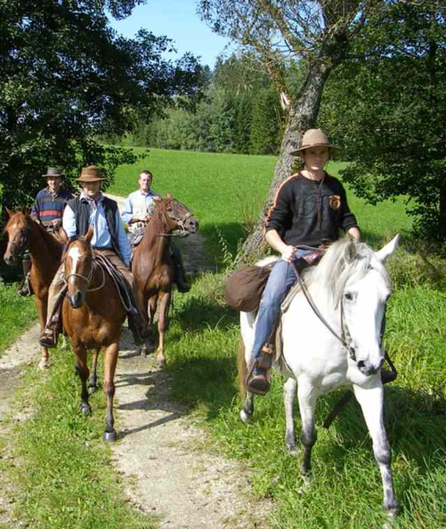 Jungfraunstein-Runde