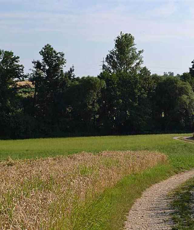 Naturfreunde Wanderweg K2