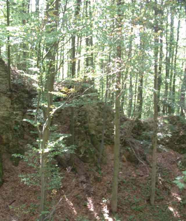 Felsen