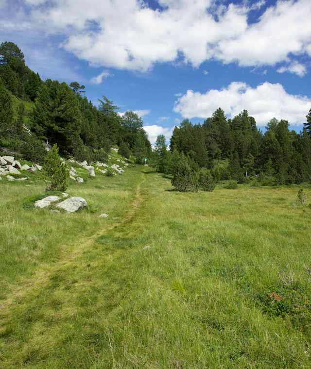 Die Käsestrasse über den Lukmanier führt an saftigen Wiesen vorbei.
