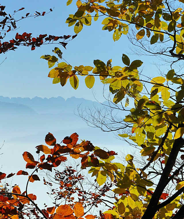 Kaiserblick