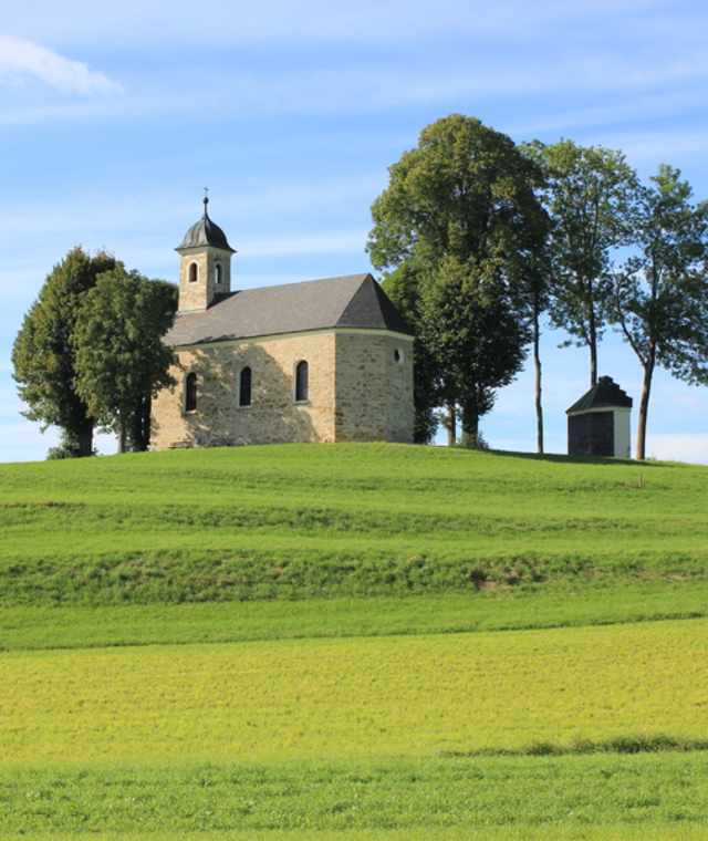 Herrlich grüne Landschaft