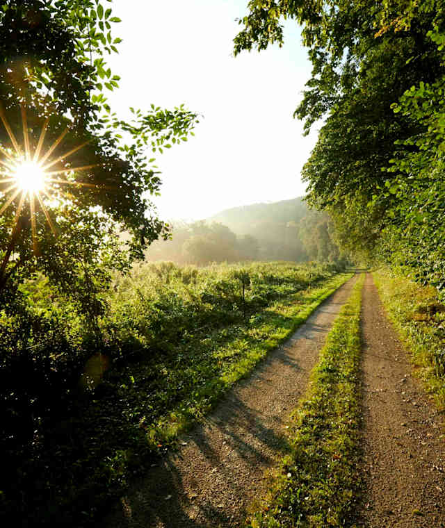 Trude-Marzik-Weg