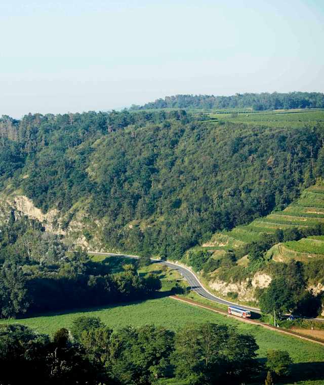 Schlossbergweg