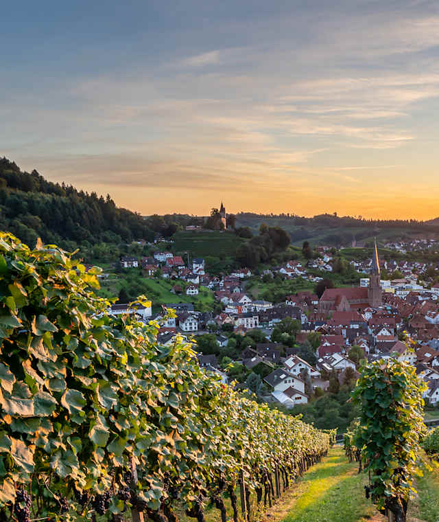 Kappelrodeck