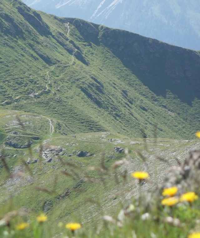 Am Karnischen Höhenweg