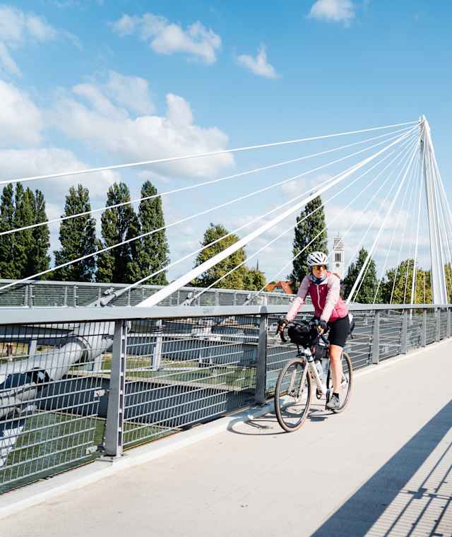 Die Rheinbrücke in Kehl