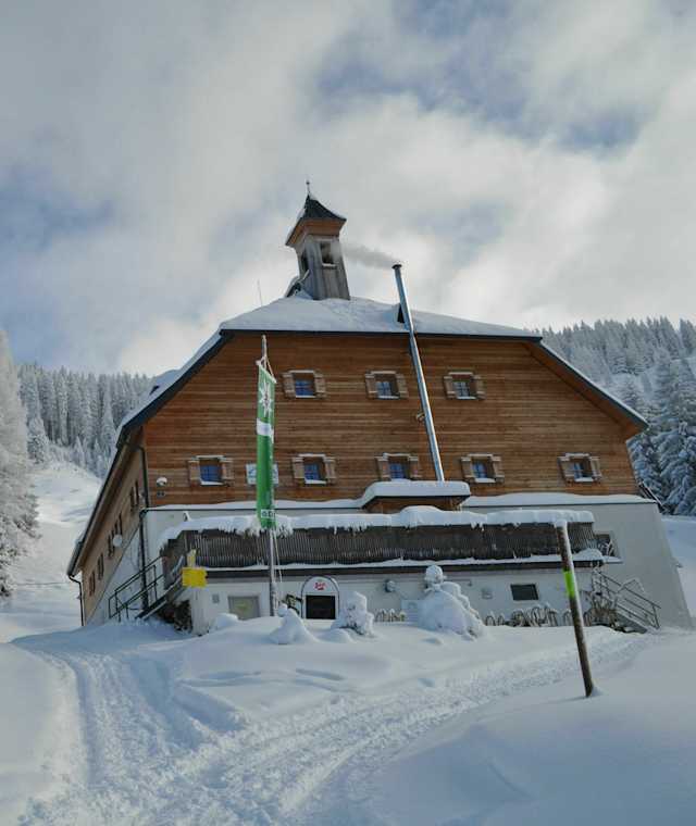 Kelchalm im Winter
