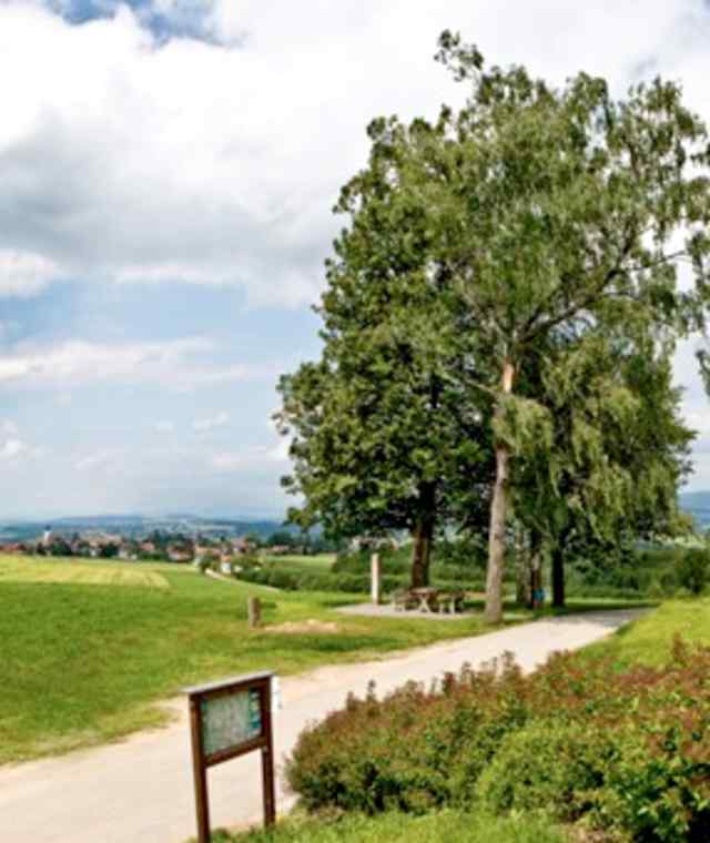 Panoramablick König-Max-Höhe, Kellberg	