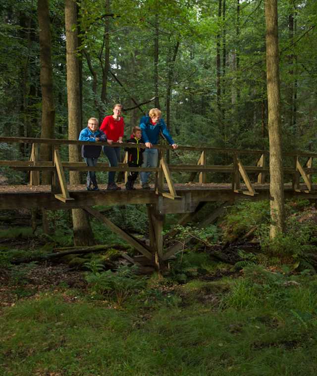 Auf der Traumschleife Römer-Keltenpfad