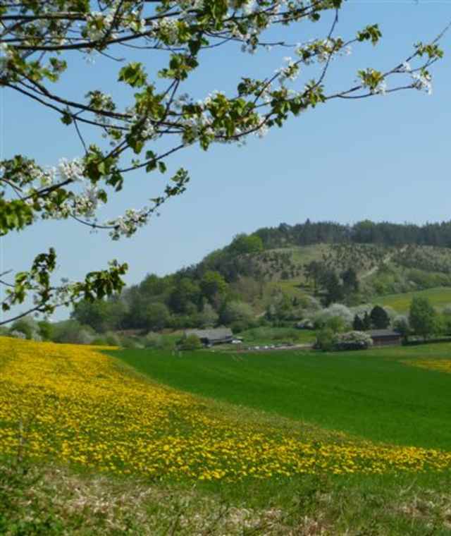 Kindelberg am Premiumweg P10 Reichenbach