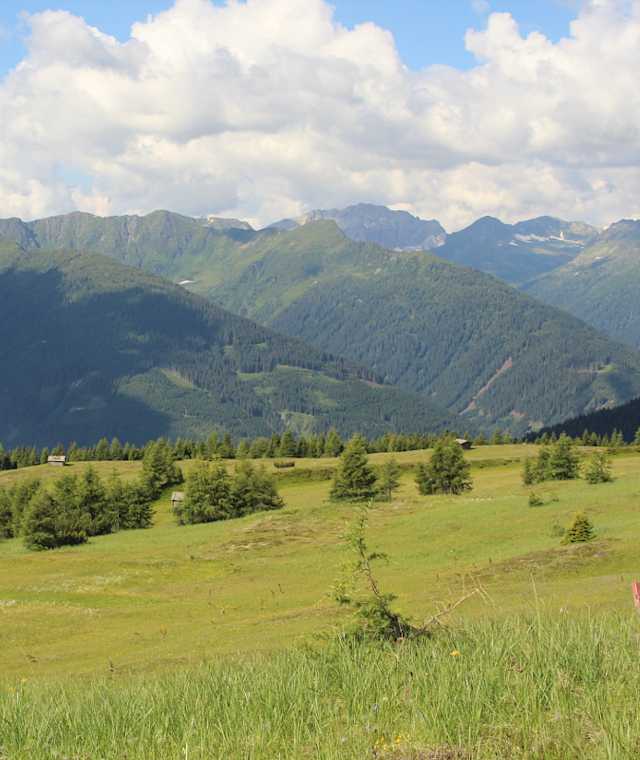 Sonnenüberflutete Bergwiesen der Kircher Alm 