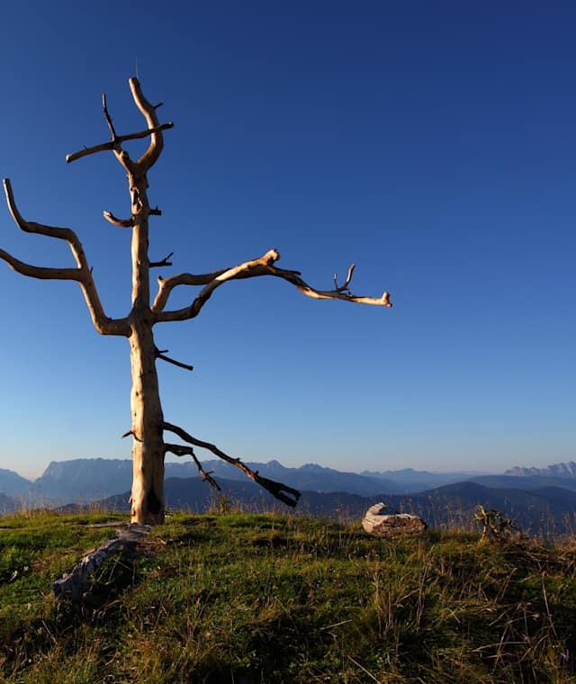 Kitzstein