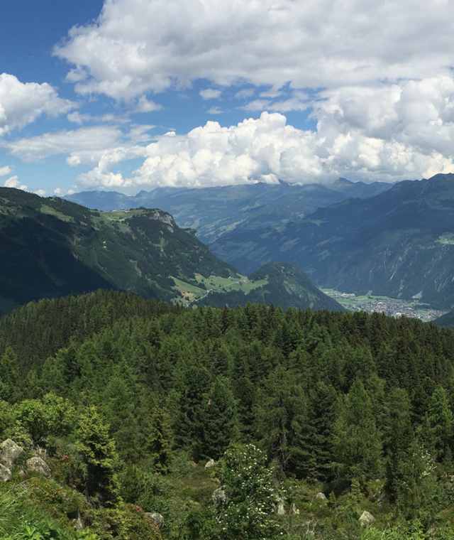 Panorama auf dem Berliner Höhenweg