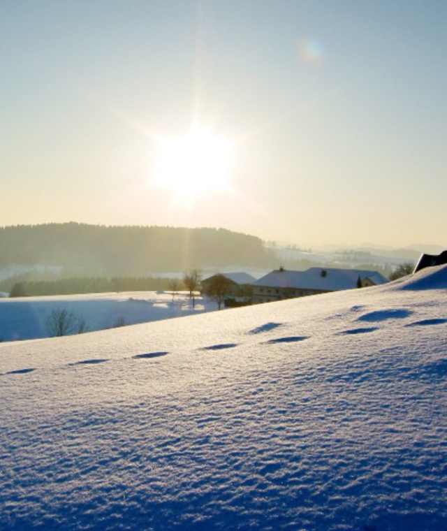 Winterlandschaft