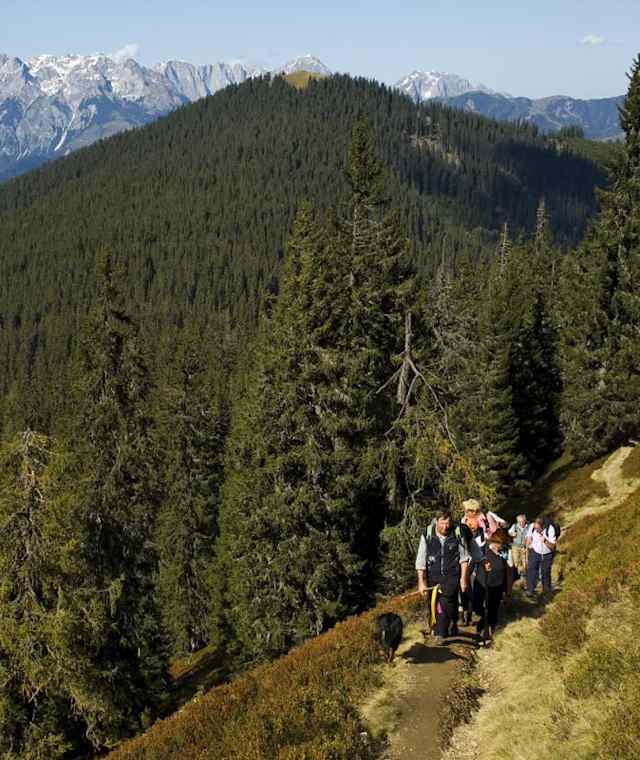 Von Hüttau aufs Hochgründeck